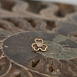 Heart Clover BVLA